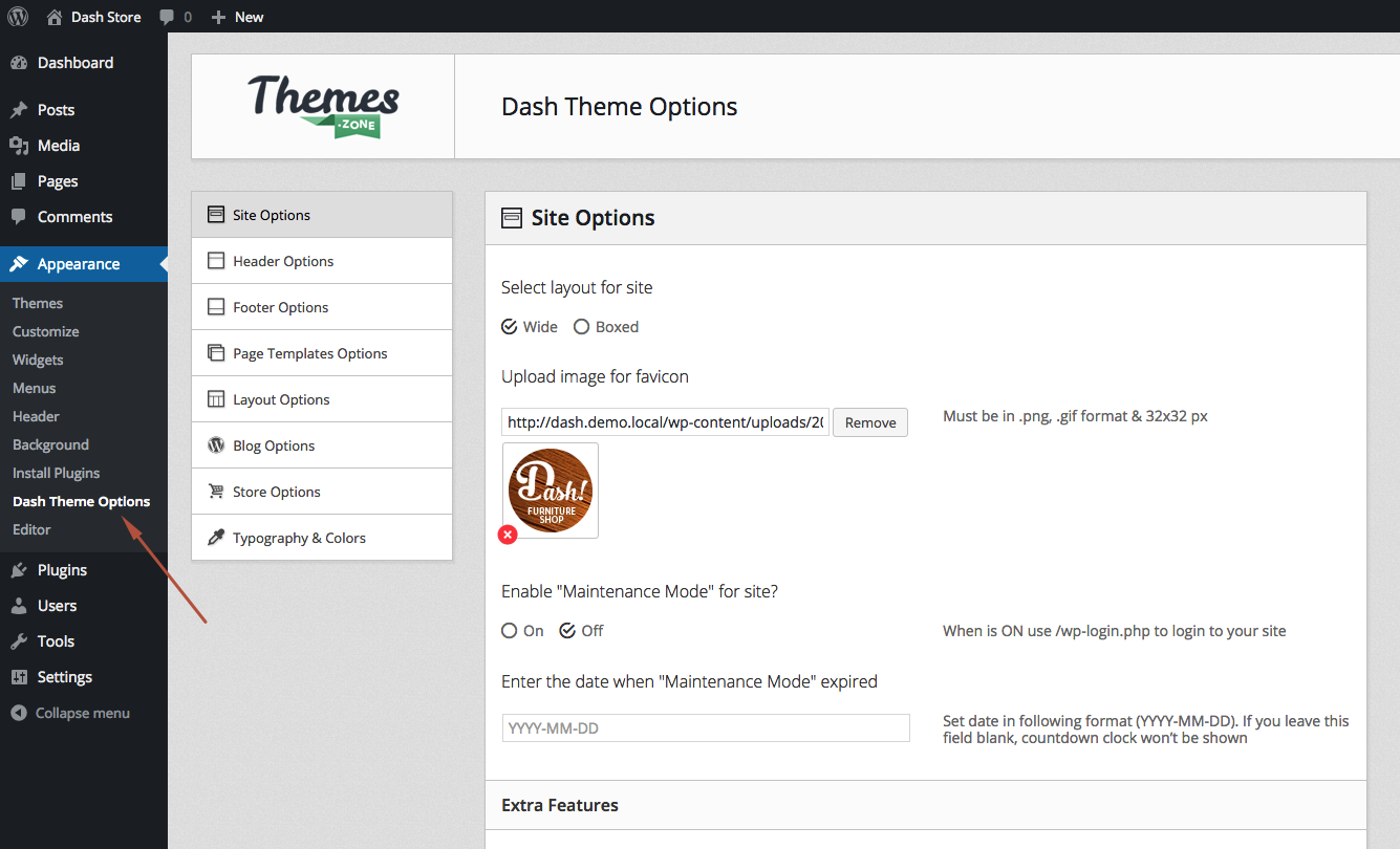 Dash Theme Options page